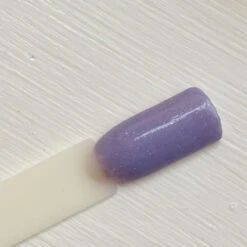 Aster (2021 Days Of Revel Freebie Day 2) | Dip Powder