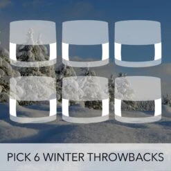 Pick Six Wintery Dip Powder Throwback Shades